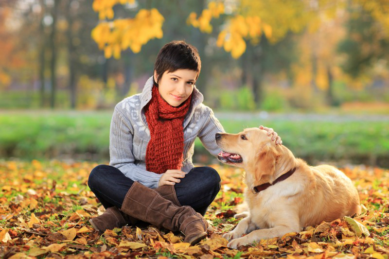 The Perfect Dog Daycare in Upper East Side Is Usually Easy to Find