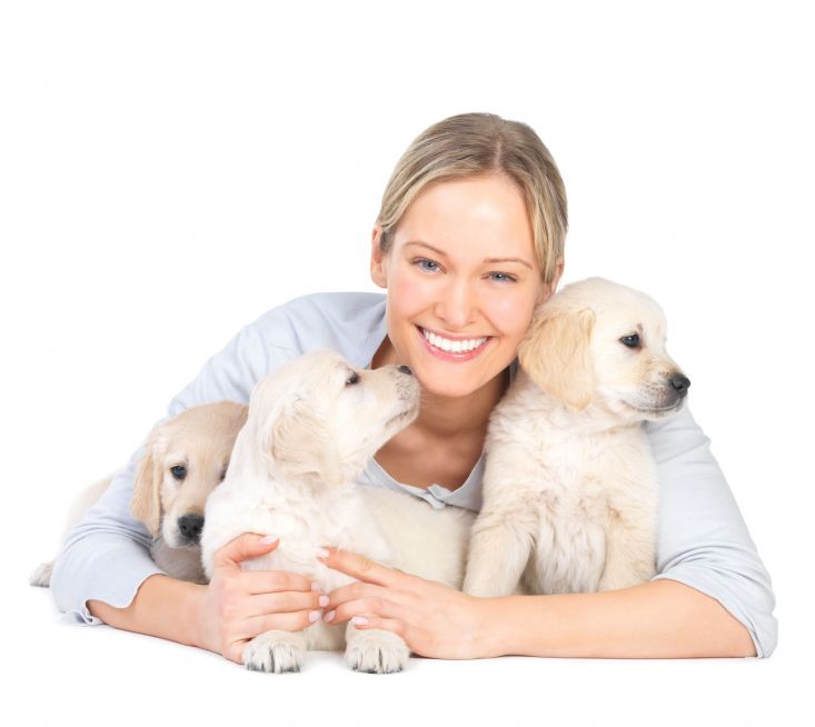 Find A Great Dog Daycare In Upper East Side Location For Your Pet